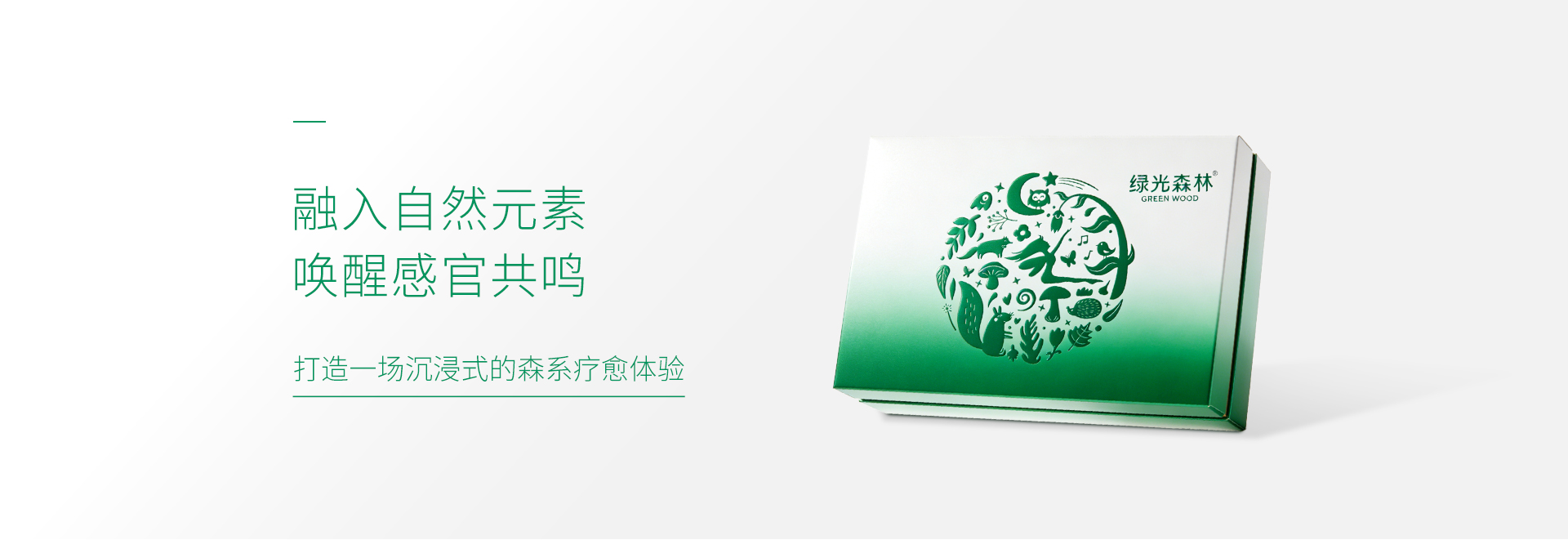 绿光森林主视觉图