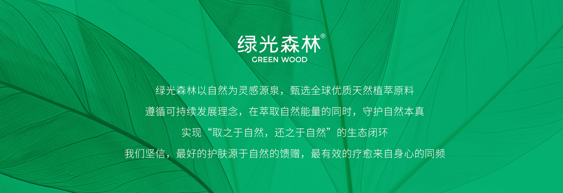 绿光森林主视觉图